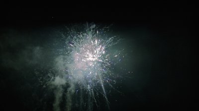 #15136 盆花1.0 49发数