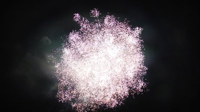 #15134 Cakes 1.0 25 shots