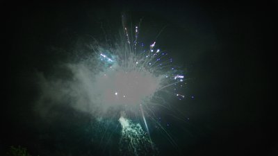 #14814 盆花42x0.8"/70x1.2" 112发数