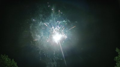 #14814 盆花42x0.8"/70x1.2" 112发数