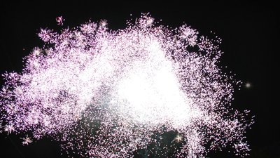 #15120 盆花1.2 138发数