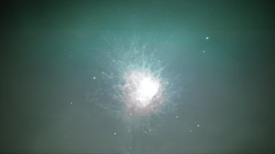 #7690 盆花0.8 100发数