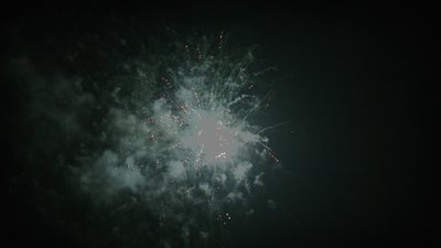#7690 盆花0.8 100发数