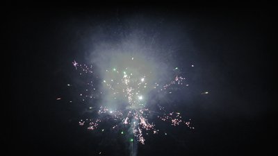 #15089 盆花1.0 36发数