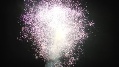 #15164 盆花1.0 36发数