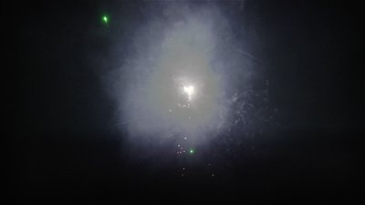 #15164 盆花1.0 36发数