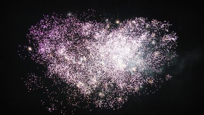 #15120 盆花1.2 138发数