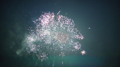 #15445 盆花1.0 145发数