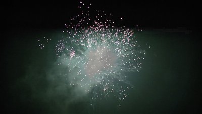 #15240 盆花1.0 16发数