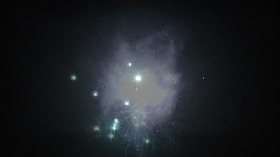 #7690 盆花0.8 100发数