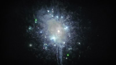 #15086 盆花0.8 100发数