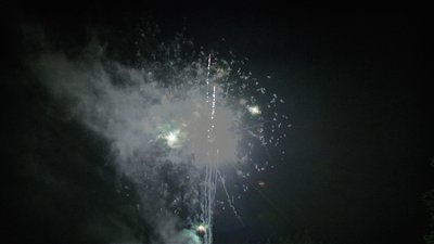#7690 盆花0.8 100发数