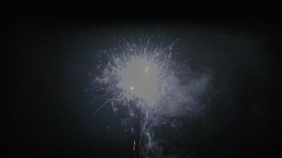 #14490 盆花0.8 64发数