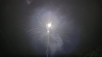 #13827 Cakes 1.5 36 shots