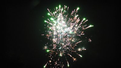 #14489 盆花0.8 36发数