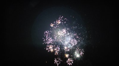 #14490 盆花0.8 64发数