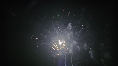 #14404 盆花1.2 25发数