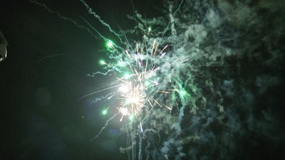 #15108 盆花1.2 36发数