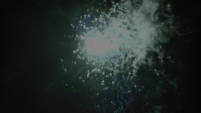 #14771 Cakes 1.0 25 shots