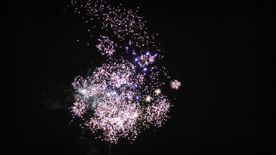 #14496 盆花1.0 49发数