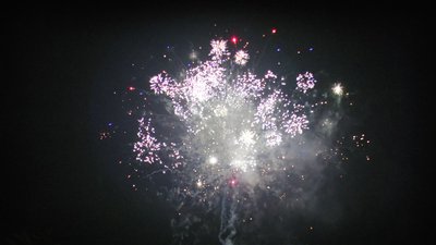 #15371 盆花100x1.0"/48x1.2" 148发数