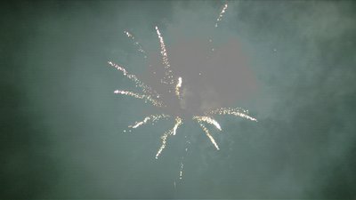 #15284 盆花1.2 100发数