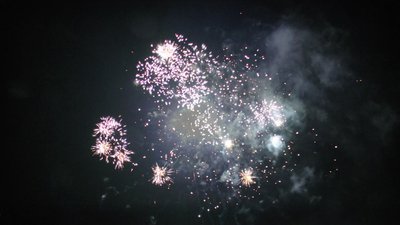 #14490 盆花0.8 64发数