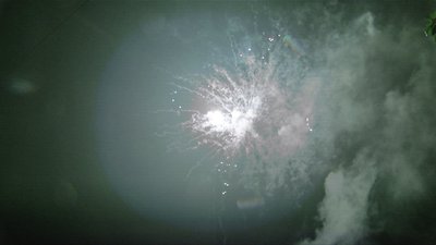 #15284 盆花1.2 100发数