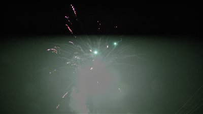 #16800 Cakes 1.0 48 shots