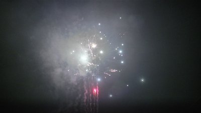 #14490 盆花0.8 64发数