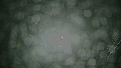#8500 Module Cakes 1.2 48 shots