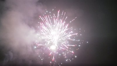 #16791 Cakes 1.2 100 shots