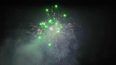 #15371 盆花100x1.0"/48x1.2" 148发数