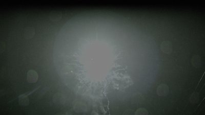 #16813 Compact 1.2 25 coups