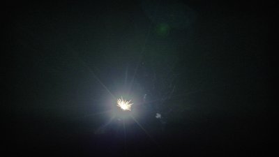 #16949 Roman Candles 0.8" 8 shots
