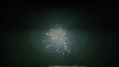 #16895 Module Cakes 1.1 20 shots