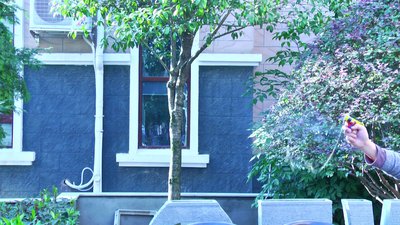 #17064 Popper toys with color paper of gun shape(gold/yellow/red/blue/green)