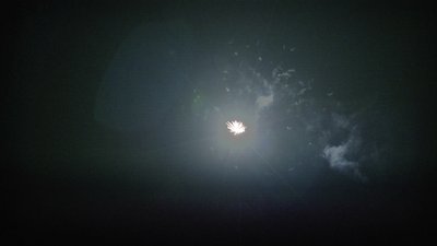#16948 Roman Candles 0.8" 8 shots