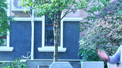 #17066 Popper toys with color belt of bottle shape(gold/yellow/red/blue/green)