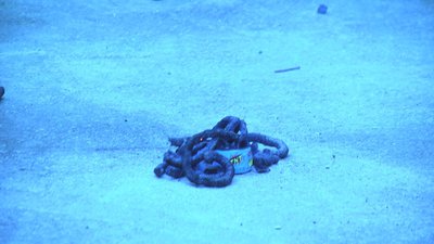 #17139 Box 5 small snake