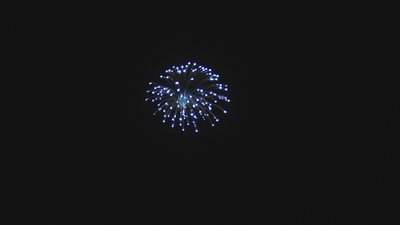 #12697 Shell 6.0"