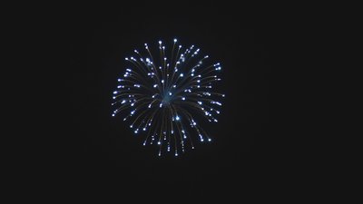 #12697 Shell 6.0"