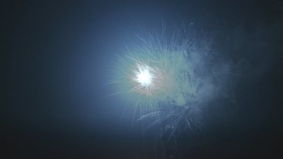 #17169 Cakes 1.0 66 shots