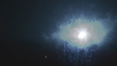 #17171 Cakes 1.2 50 shots