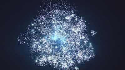 #17179 盆花0.8 16发数