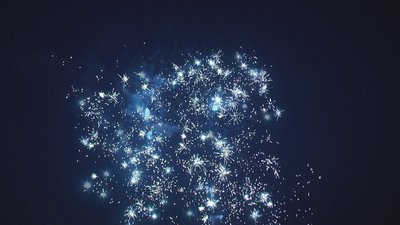 #17180 盆花1.0 25发数