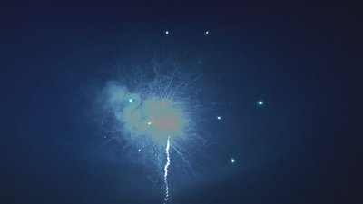 #17181 盆花1.2 25发数