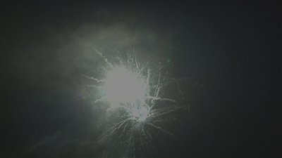 #17221 盆花0.8 25发数