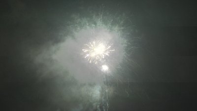 #17222 盆花1.0 48发数