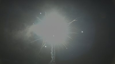 #17220 盆花1.2 36发数